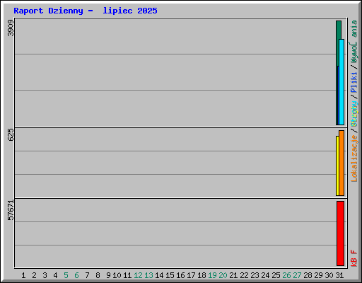 Raport Dzienny -  lipiec 2025