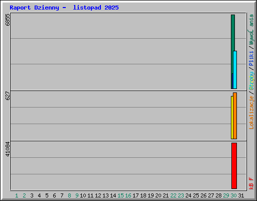 Raport Dzienny -  listopad 2025