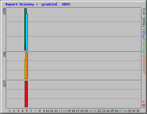 Raport Dzienny -  grudzień 2025