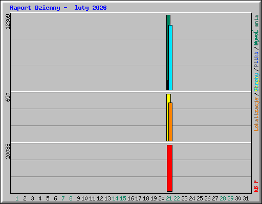 Raport Dzienny -  luty 2026