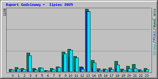 Raport Godzinowy -  lipiec 2025
