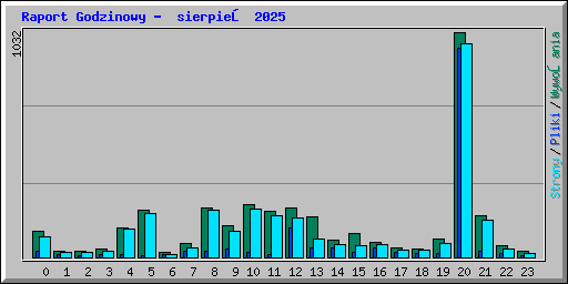 Raport Godzinowy -  sierpień 2025