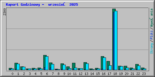 Raport Godzinowy -  wrzesień 2025