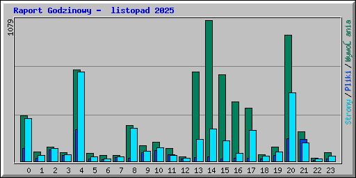 Raport Godzinowy -  listopad 2025