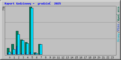 Raport Godzinowy -  grudzień 2025