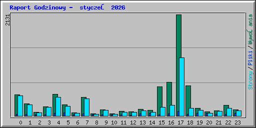 Raport Godzinowy -  styczeń 2026
