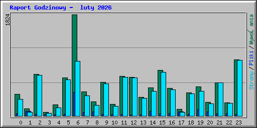 Raport Godzinowy -  luty 2026