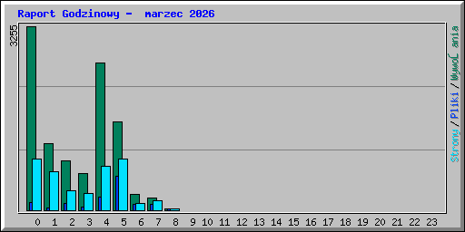 Raport Godzinowy -  marzec 2026