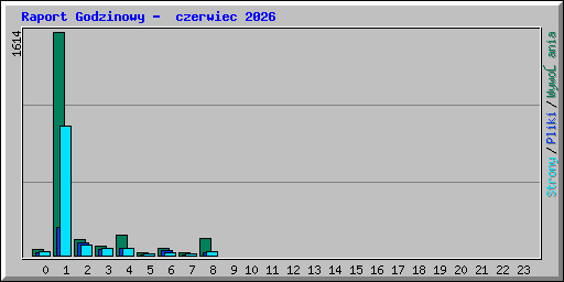 Raport Godzinowy -  czerwiec 2026